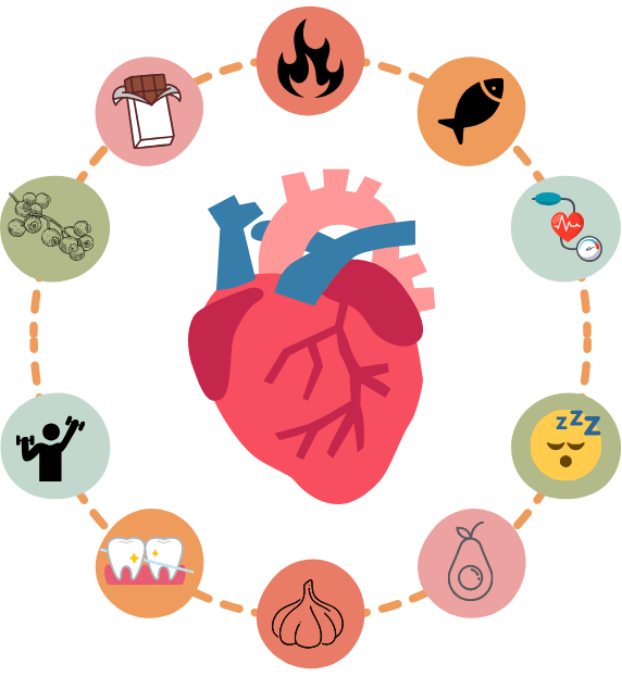 Image shows a stylised heart surrounded by symbols representing foods and activities that are beneficial for the health of the heart